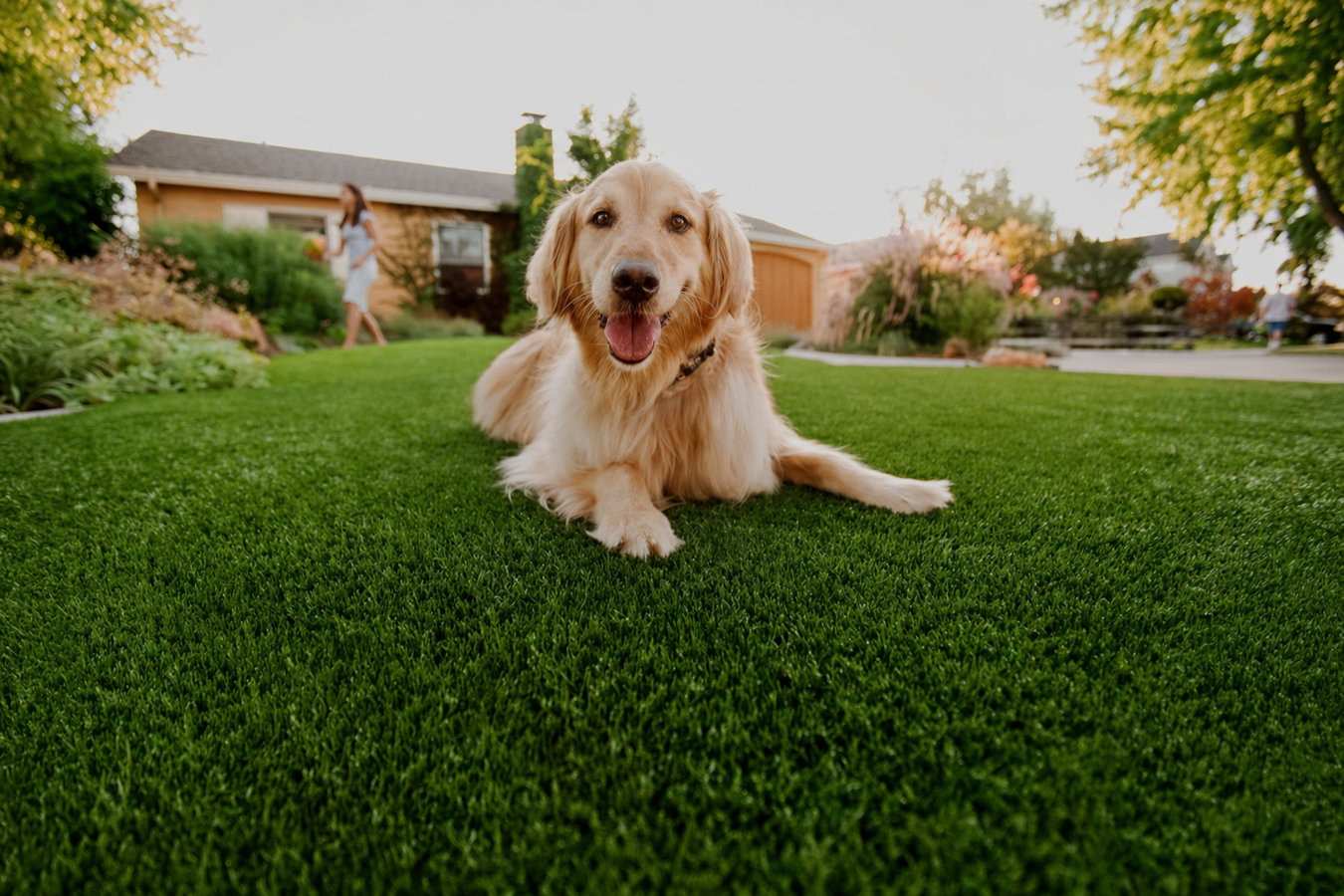 Pet-friendly turf in Edinburg, TX