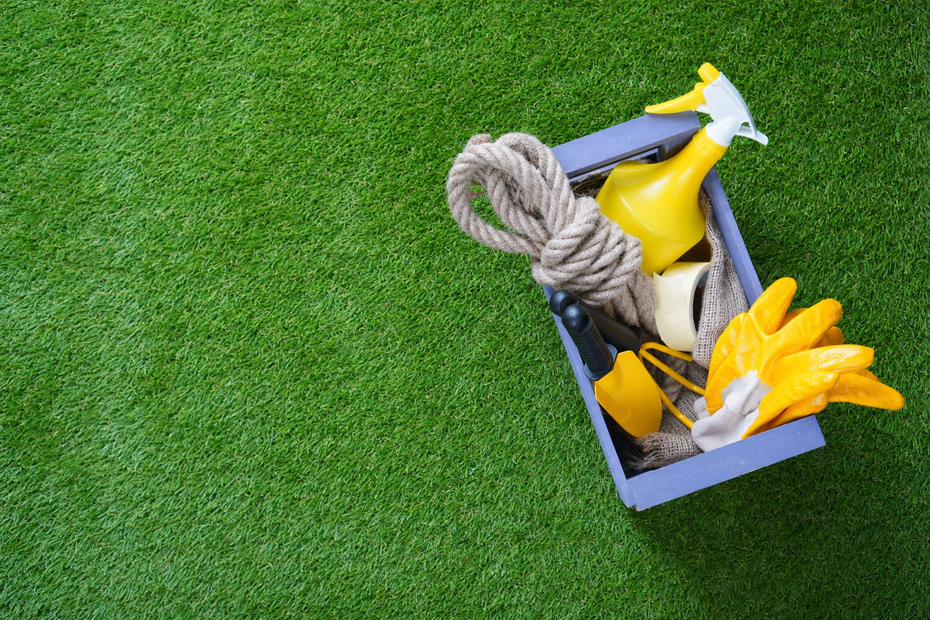 Turf maintenance services in Edinburg, TX